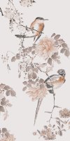 Birds of Asia II